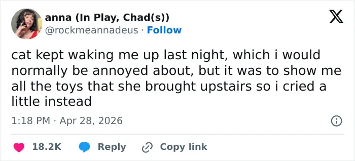 A funny tweet from anna about her cat waking her up to show toys, highlighting adorable and emotionally manipulative cat behavior.