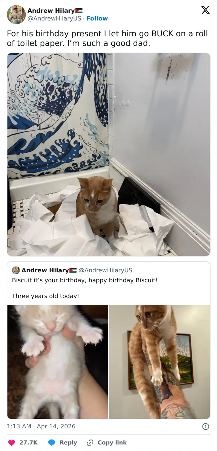 55 Hilariously Accurate Cat Tweets That Every Cat Owner Should Recognize Immediately