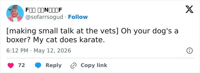 A funny tweet about a cat doing karate, highlighting how adorable and weird cats are.