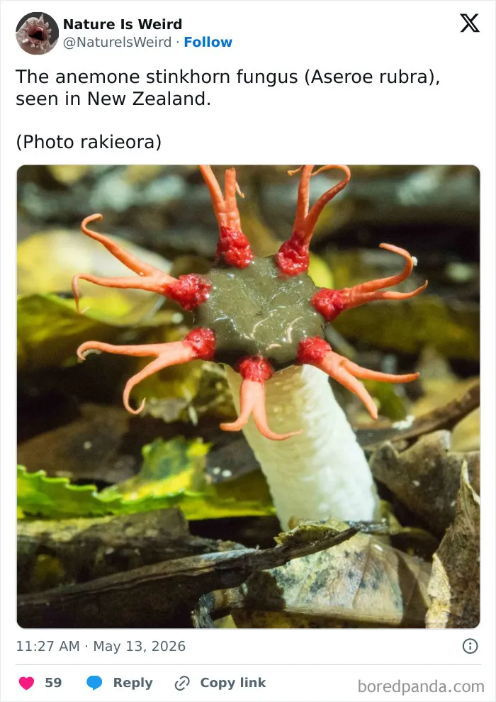 42 Rare Photos That Prove Most Of Us Have No Idea How Wild This Planet Actually Is