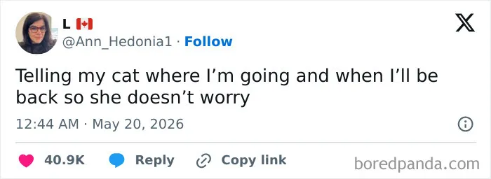 These 54 People On Twitter Were Considerably Funnier Than Anyone Else During May