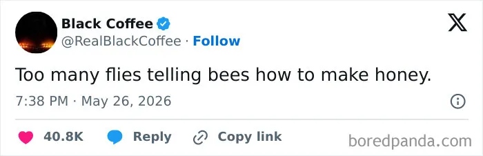 These 54 People On Twitter Were Considerably Funnier Than Anyone Else During May