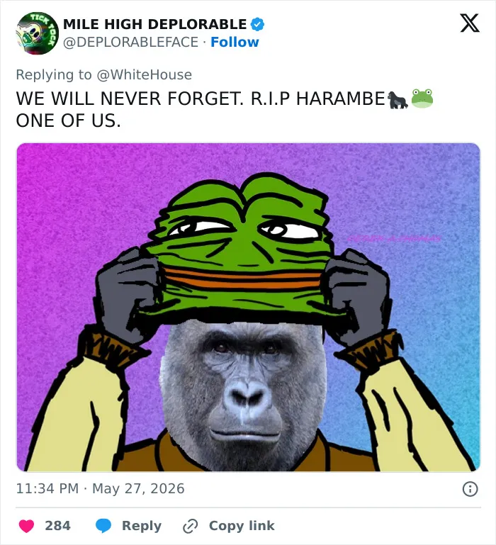 "His Legacy Still Lives On": The White House Leads Reactions As The 10th Anniversary Of Harambe's Passing Has Everyone Feeling Nostalgic