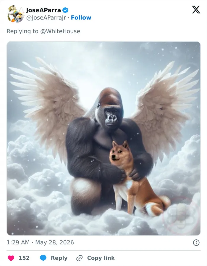 "His Legacy Still Lives On": The White House Leads Reactions As The 10th Anniversary Of Harambe's Passing Has Everyone Feeling Nostalgic