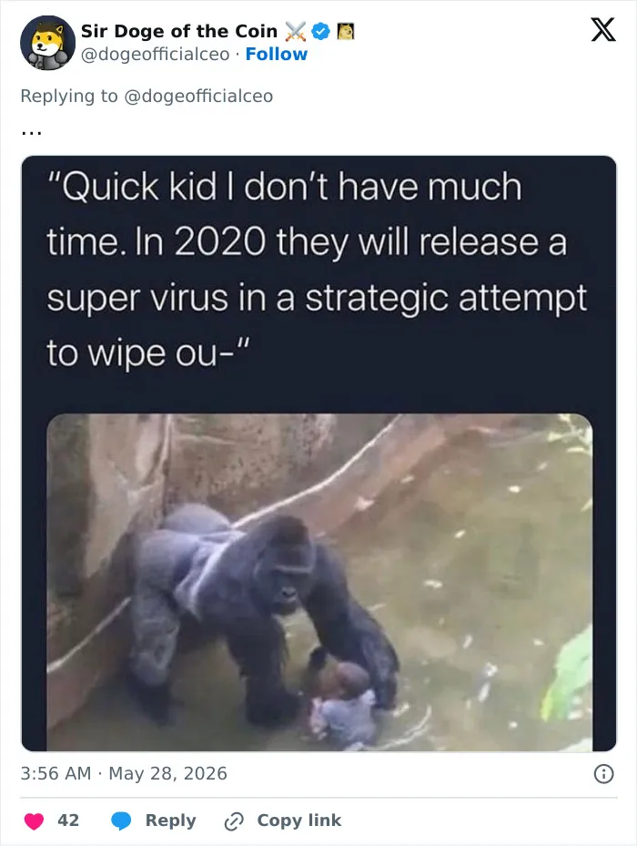 "His Legacy Still Lives On": The White House Leads Reactions As The 10th Anniversary Of Harambe's Passing Has Everyone Feeling Nostalgic