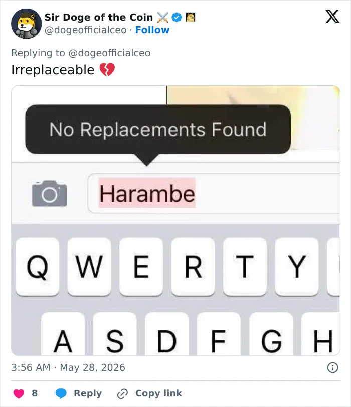 "His Legacy Still Lives On": The White House Leads Reactions As The 10th Anniversary Of Harambe's Passing Has Everyone Feeling Nostalgic
