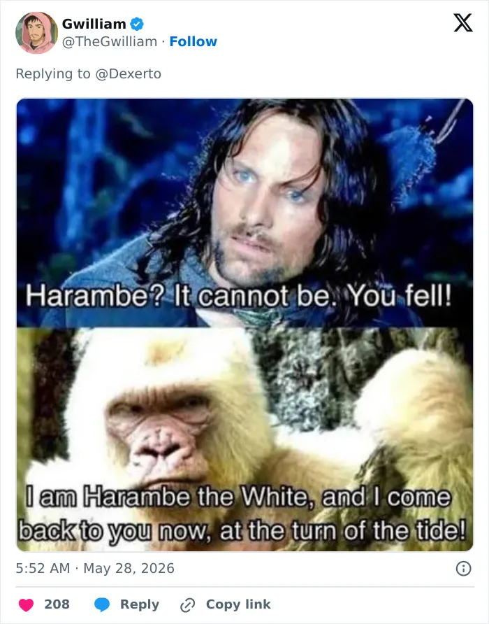 "His Legacy Still Lives On": The White House Leads Reactions As The 10th Anniversary Of Harambe's Passing Has Everyone Feeling Nostalgic