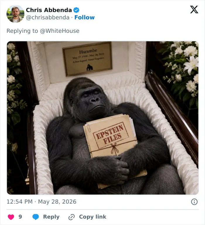 "His Legacy Still Lives On": The White House Leads Reactions As The 10th Anniversary Of Harambe's Passing Has Everyone Feeling Nostalgic