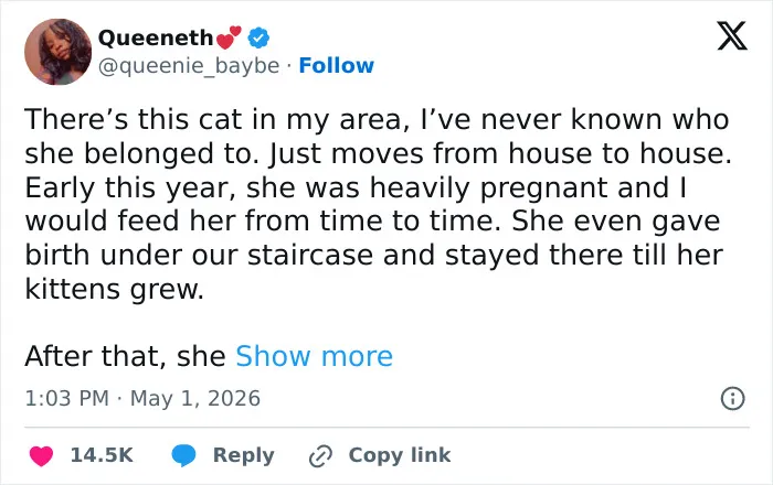 A tweet from Queeneth describing a neighborhood cat that was adorable, weird, and emotionally manipulative, confirming cat behavior.
