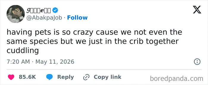 These 54 People On Twitter Were Considerably Funnier Than Anyone Else During May