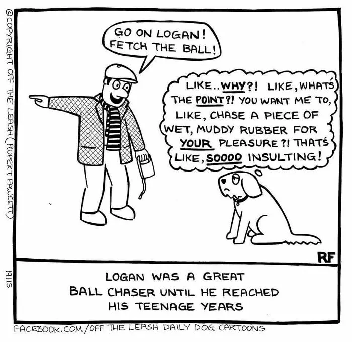 A comic by Rupert Fawcett with a man asking his dog to fetch a ball, but the dog refuses, capturing living with dogs.