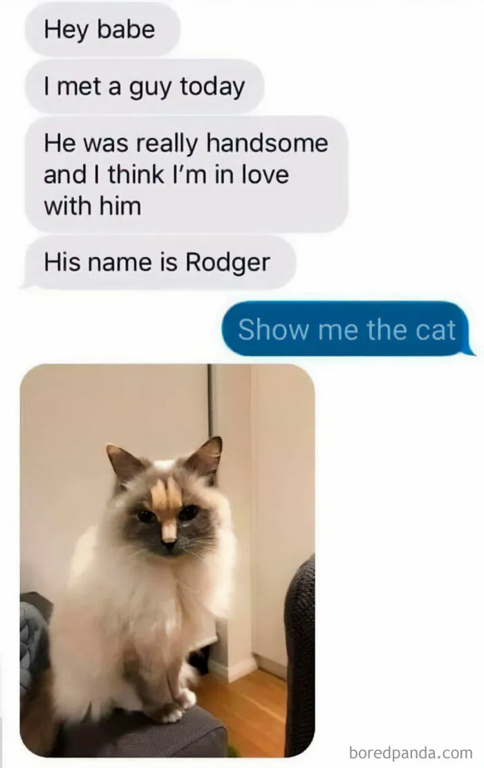 If Nothing Brings You Joy Anymore, Try These 75 Funny And Wholesome Animal Memes