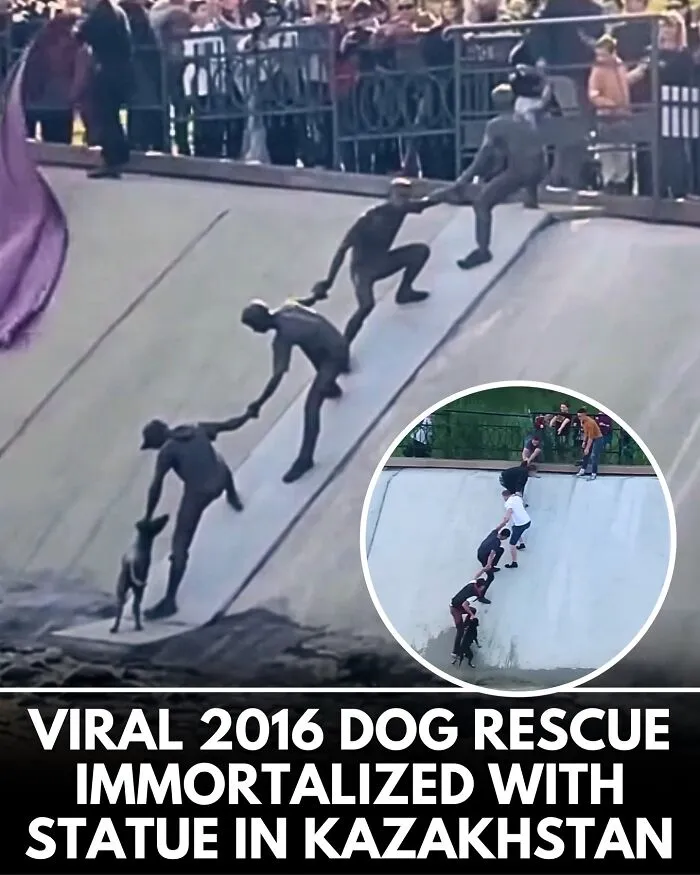 From Rescue Miracles To Emotional Reunions: 32 New Dog Stories Shared By 'We Rate Dogs' 