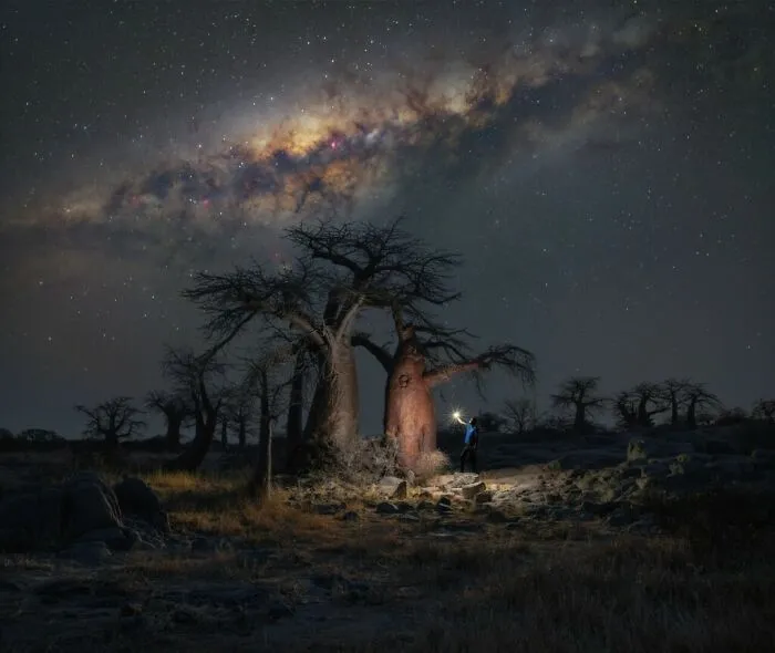“Botswana Baobabs By Night” By Stefano Pellegrini
