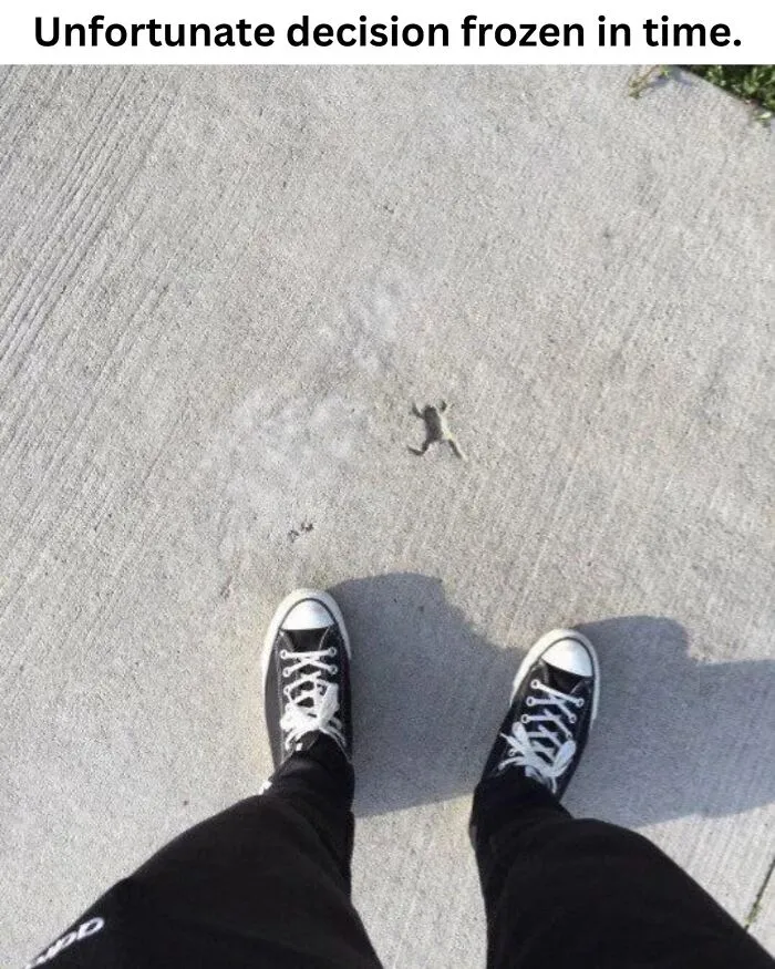 These 50 Photos May Seem Confusing At First, But The Explanation Makes Them Even Better