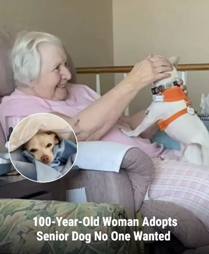 This Page Shared The Stories Of 28 Animals Whose Lives Changed After Someone Finally Came To Help