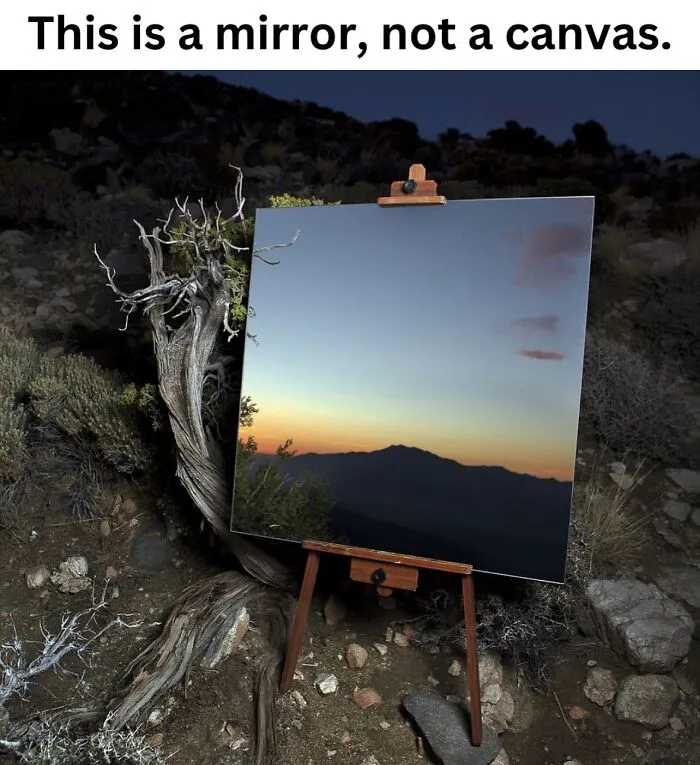 These 50 Photos May Seem Confusing At First, But The Explanation Makes Them Even Better