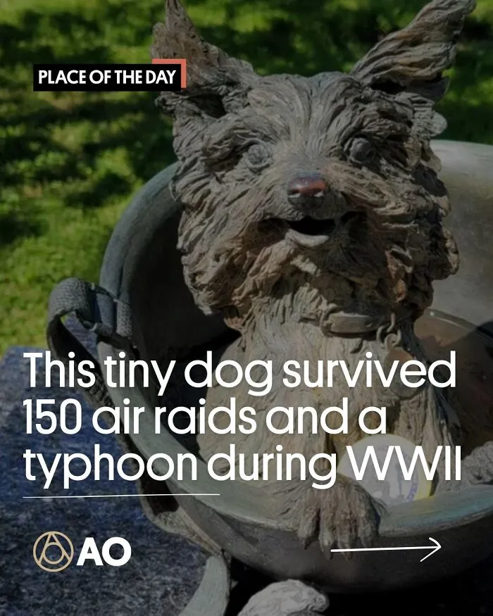 Smoky Yorkie Statue, Memorial Field, Valley Parkway, Lakewood, Ohio, United States