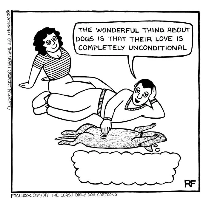 The Wonderful Thing About Dogs