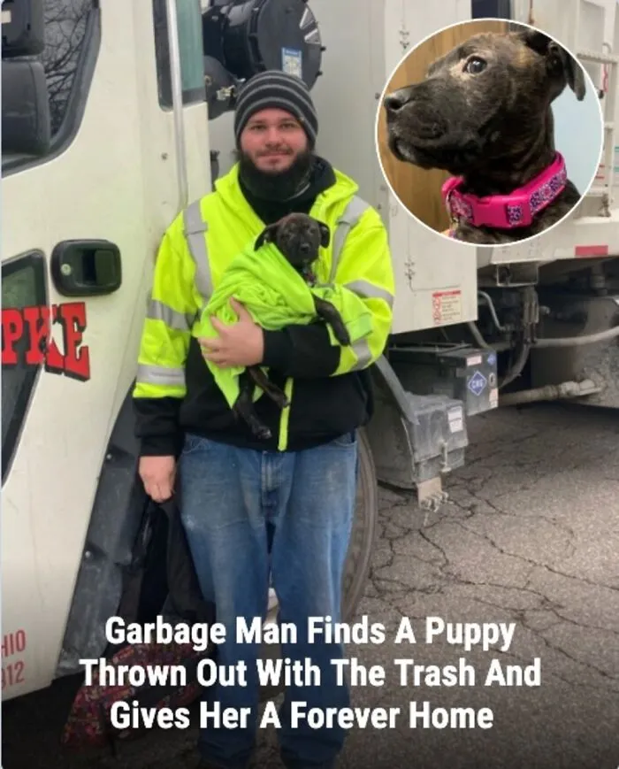 This Page Shared The Stories Of 28 Animals Whose Lives Changed After Someone Finally Came To Help