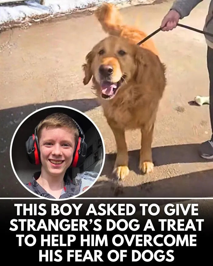 From Rescue Miracles To Emotional Reunions: 32 New Dog Stories Shared By 'We Rate Dogs' 