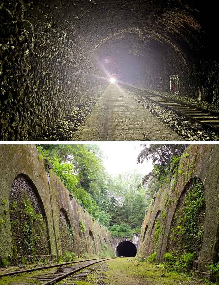 La Petite Ceinture, France: An Abandoned 19th-Century Railway Turned Into A Green Jungle Corridor