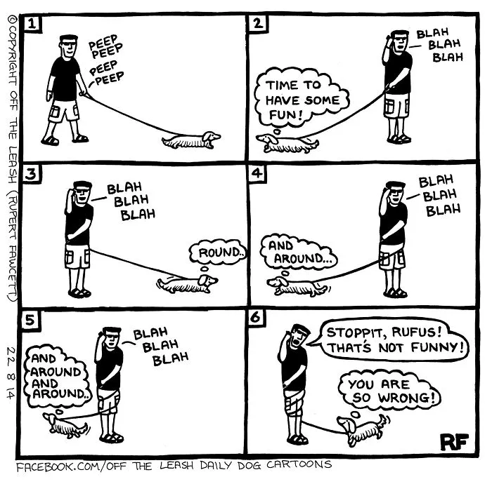 Rupert Fawcett comics about living with dogs: A dog owner walking his dog, which spins in circles on the leash.