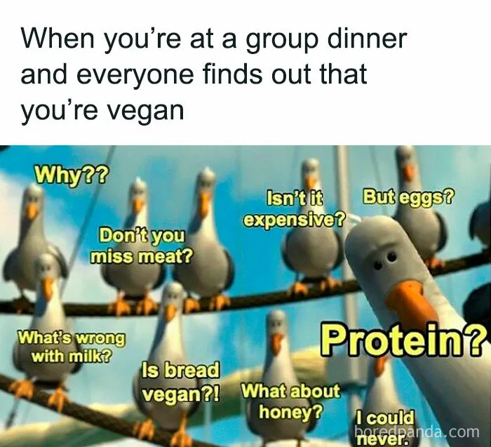 69 Vegan Memes That Never Get Old 