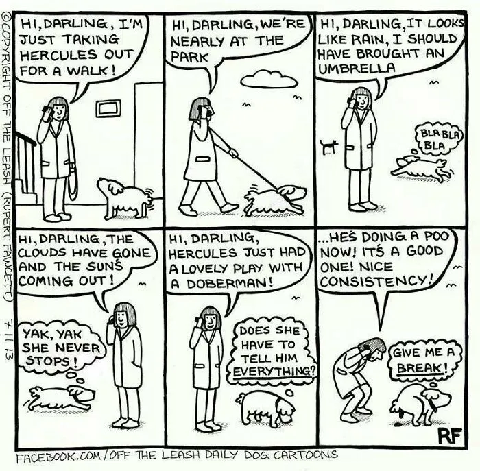 Rupert Fawcett comic capturing living with dogs, featuring a person on the phone detailing a dog walk.