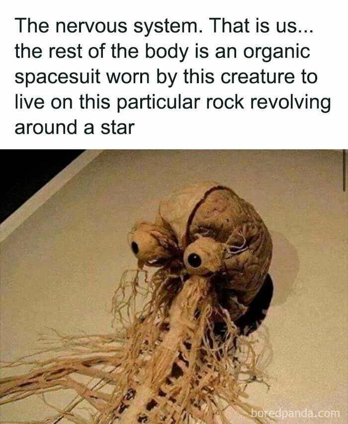 Never Thought Of It This Way