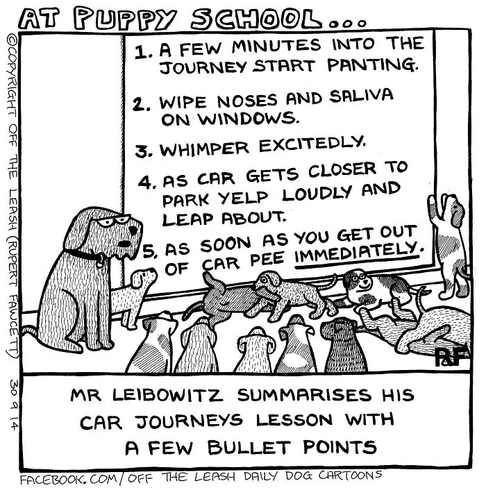 Rupert Fawcett comics about living with dogs: Dogs excited for car ride to puppy school, showing typical dog behaviors.
