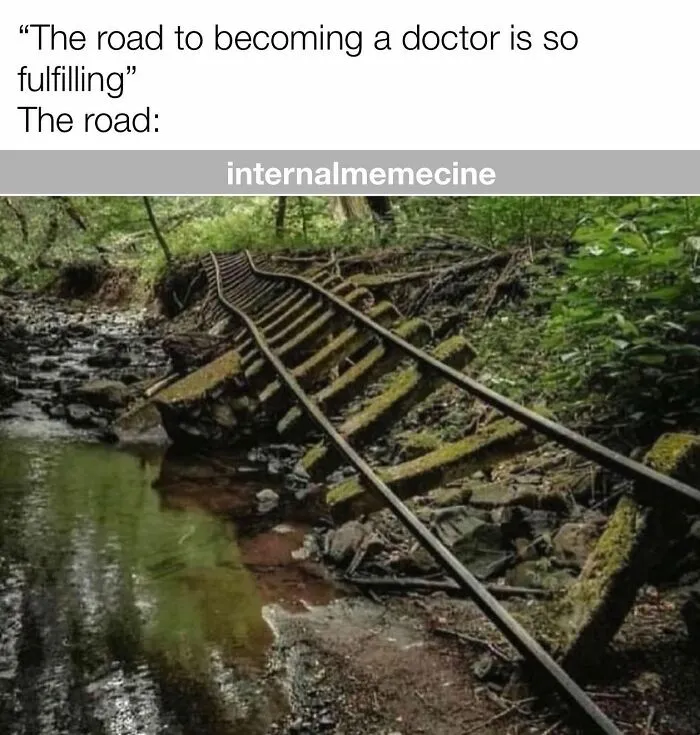 Medical meme showing a broken, overgrown train track over a stream, representing the hard journey to become a doctor.