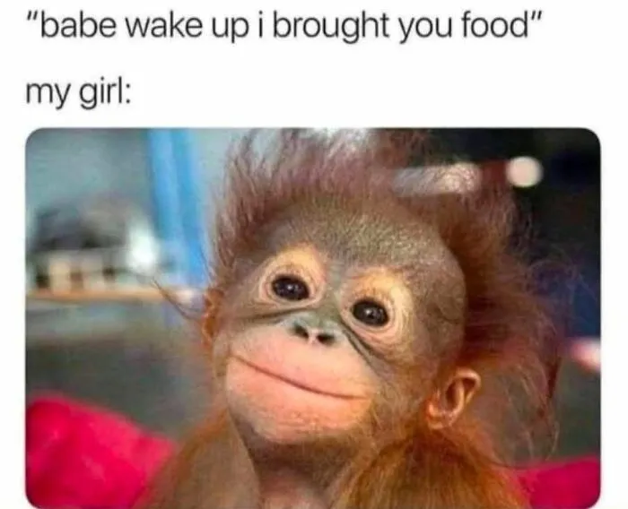 Happy baby orangutan meme about bringing food in random memes