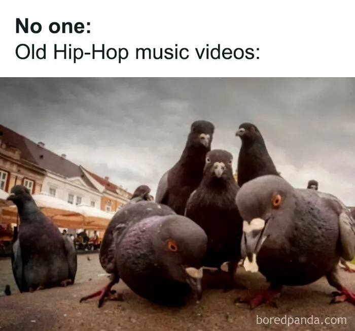 If Nothing Brings You Joy Anymore, Try These 75 Funny And Wholesome Animal Memes