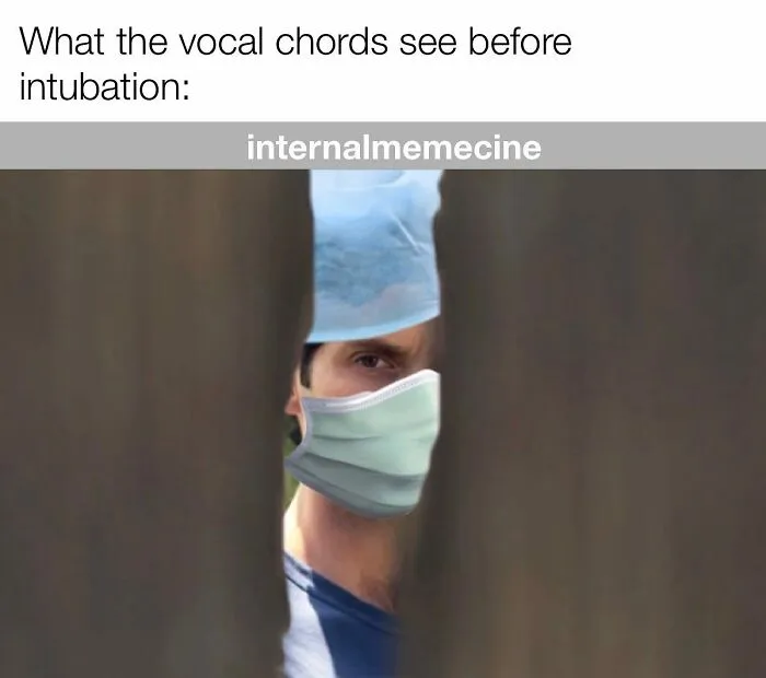 A medical meme of a doctor in a mask and cap, peering through a gap. Captioned, What the vocal chords see before intubation.