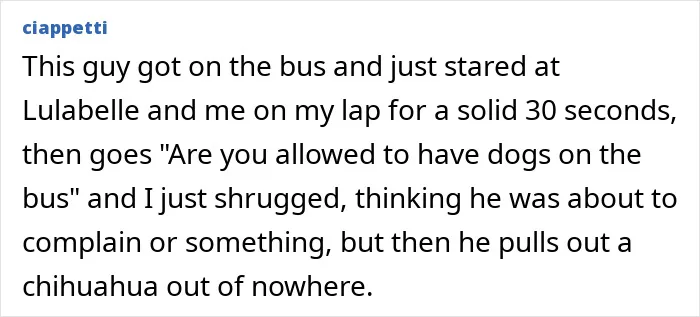 “All The Adults Just Gasped”: 56 Times One Tiny Detail Changed The Entire Story
