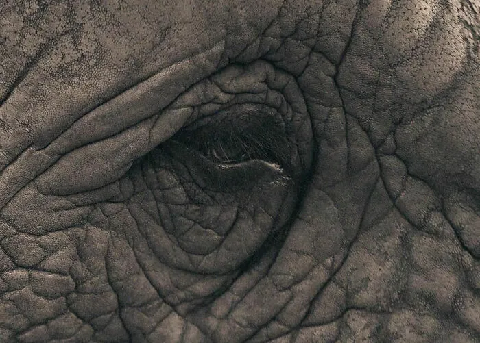30 Photos By This Artist That Blur The Line Between Human And Nature