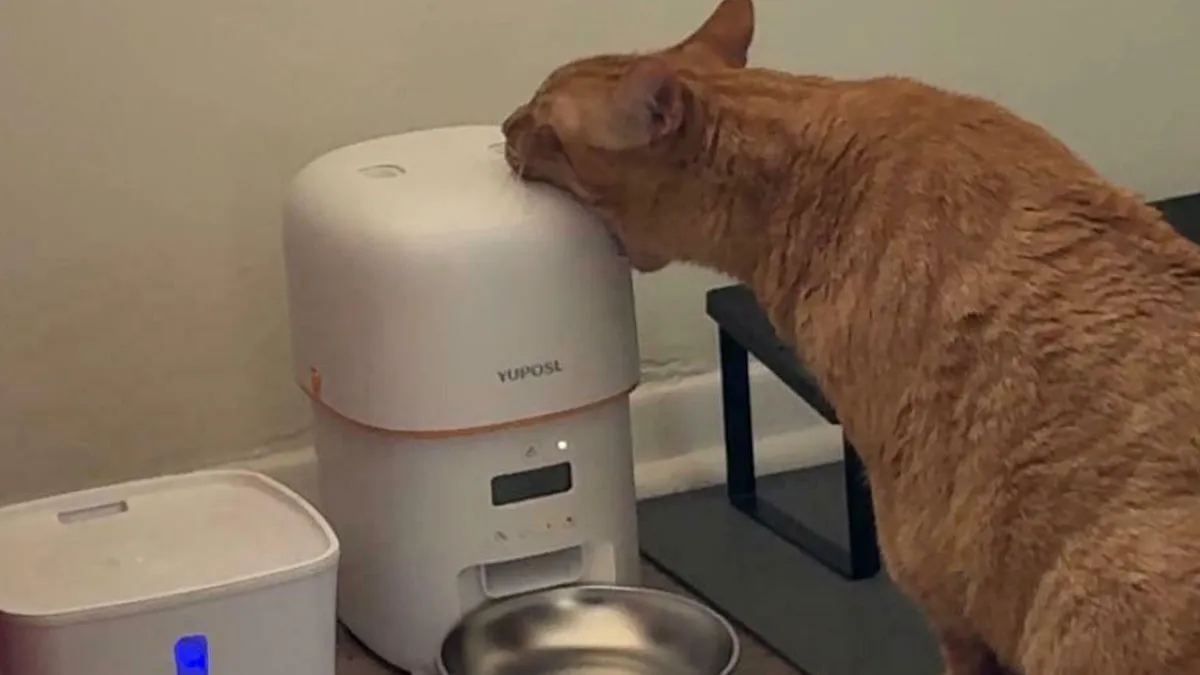 18 Infieles que fueron descubiertos sorprendentemente gracias a la tecnología