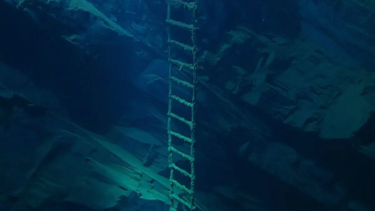People Are Sharing Their Unexpected Thalassophobia Moments, And Here Are 63 Pics That Creeped Them Out (New Pics)