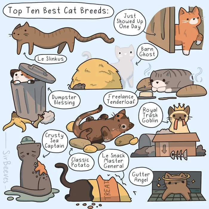 30 Honest Comics By Sera Beeves That Capture What It Feels Like To Be A Young Adult Today (New Pics)
