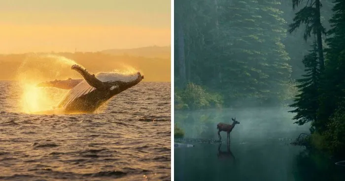 83 Surprisingly Satisfying Photos That Feel Like A Deep Breath For Your Brain