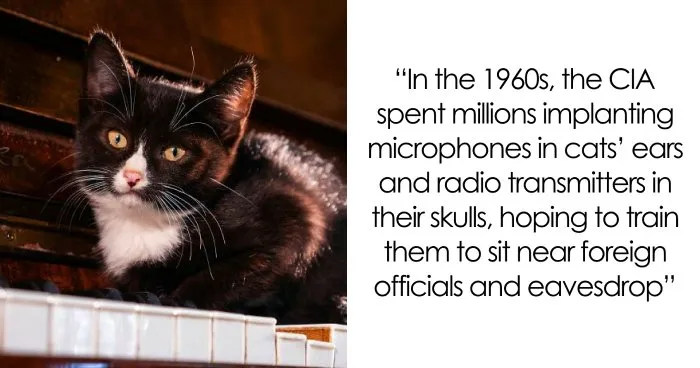 45 Random Facts That Won't Pay Your Bills But May Keep You Entertained 