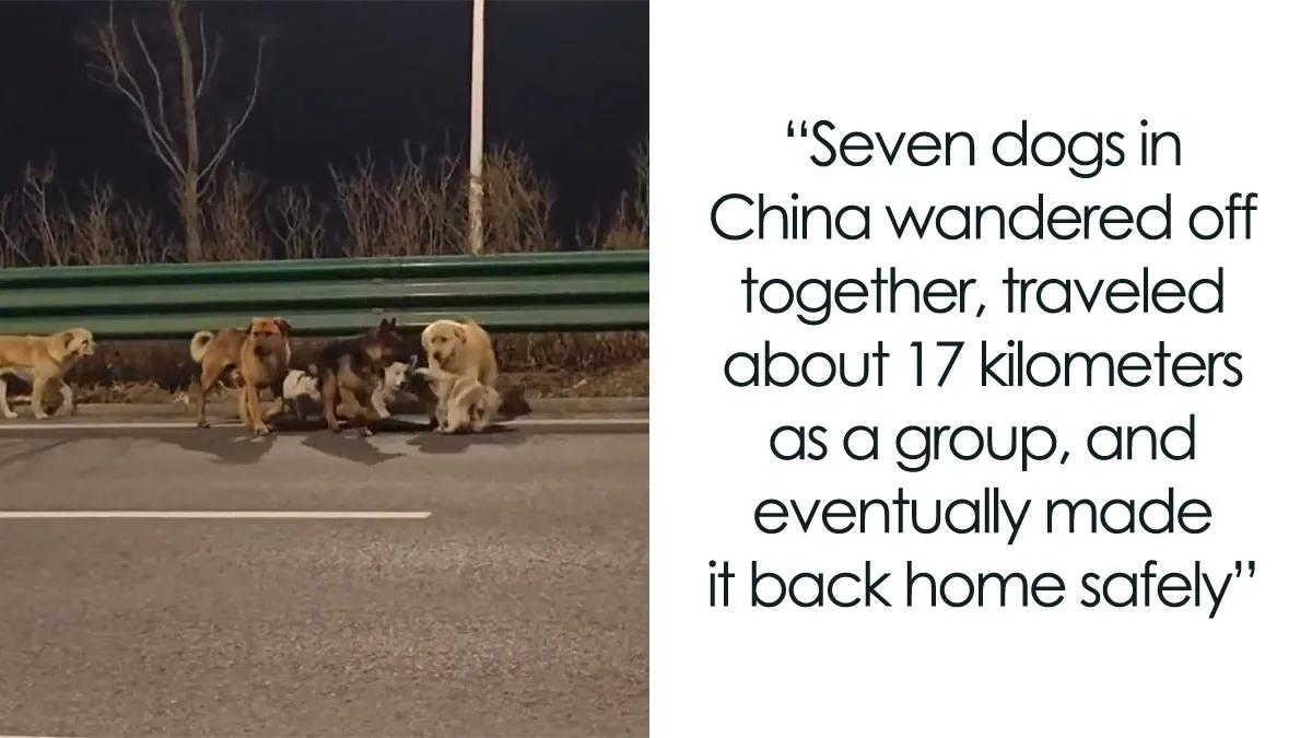 24 Wholesome Animal Facts From Around The World That Restore Faith In Nature