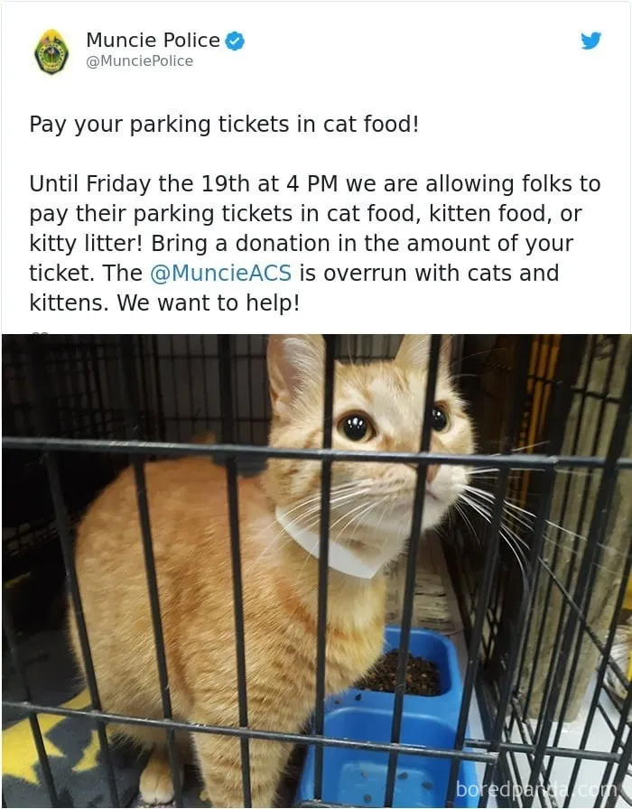 85 Wholesome Posts For Anyone Who’s Had A Rough Month