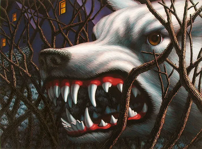 “Wild Kingdom”