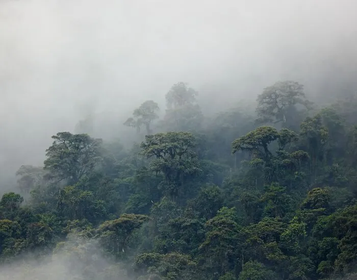 35 Scientific Facts That Are Hard To Believe Are Actually Real