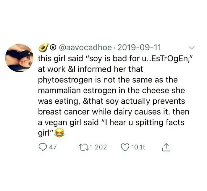 A tweet from @aavocadhoe about soy vs. dairy estrogen, a meme for vegans tired of common jokes.