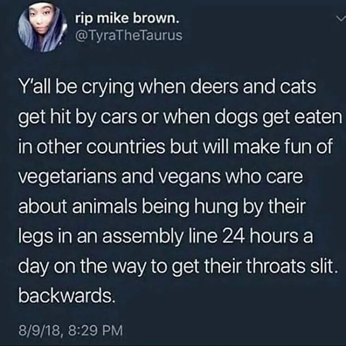 A tweet from @TyraTheTaurus making a point about hypocritical animal welfare concerns, a funny meme for vegans.