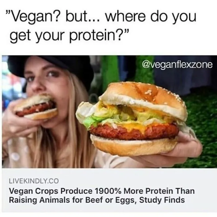 A woman eating a delicious vegan burger, humorously addressing protein concerns. Perfect for funny memes for vegans.