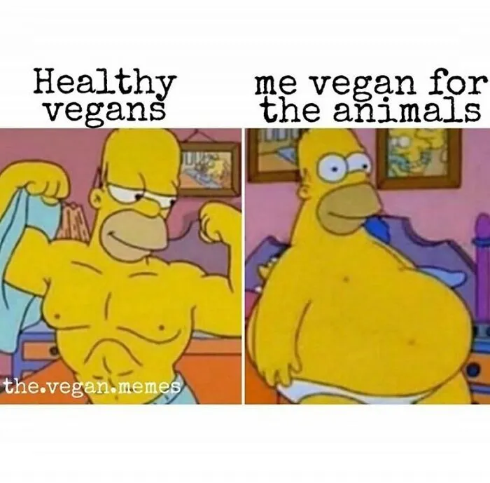 Homer Simpson meme contrasting muscular healthy vegans with a pot-bellied Homer representing vegans for the animals. Funny memes for vegans.